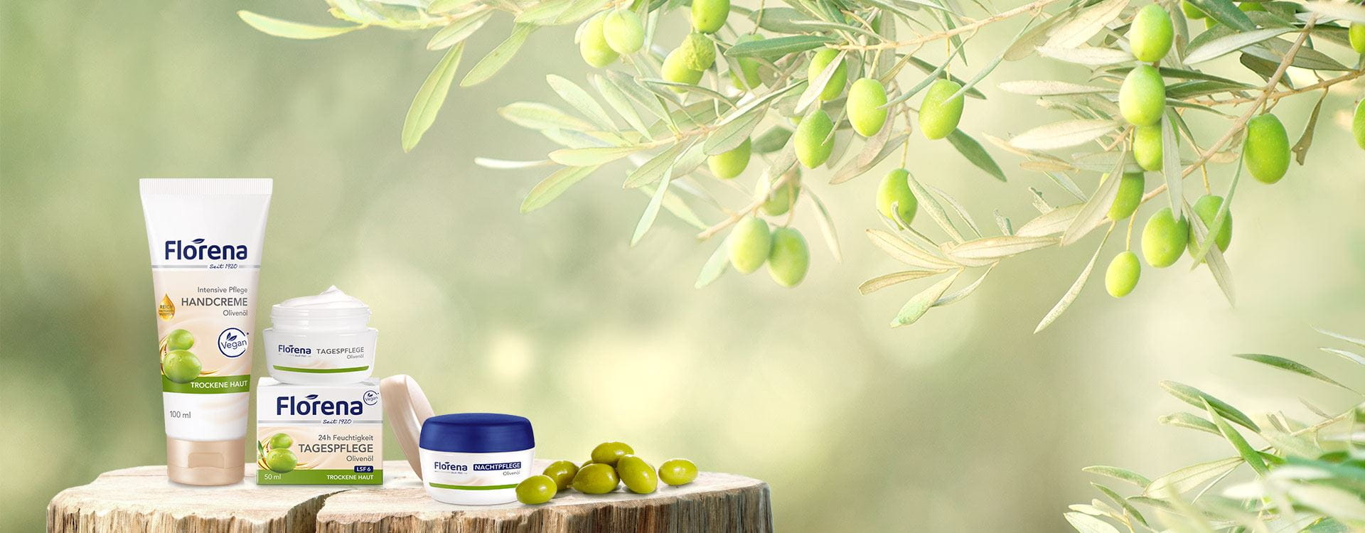 Headerbilder Pflegeserien Oliven Öl