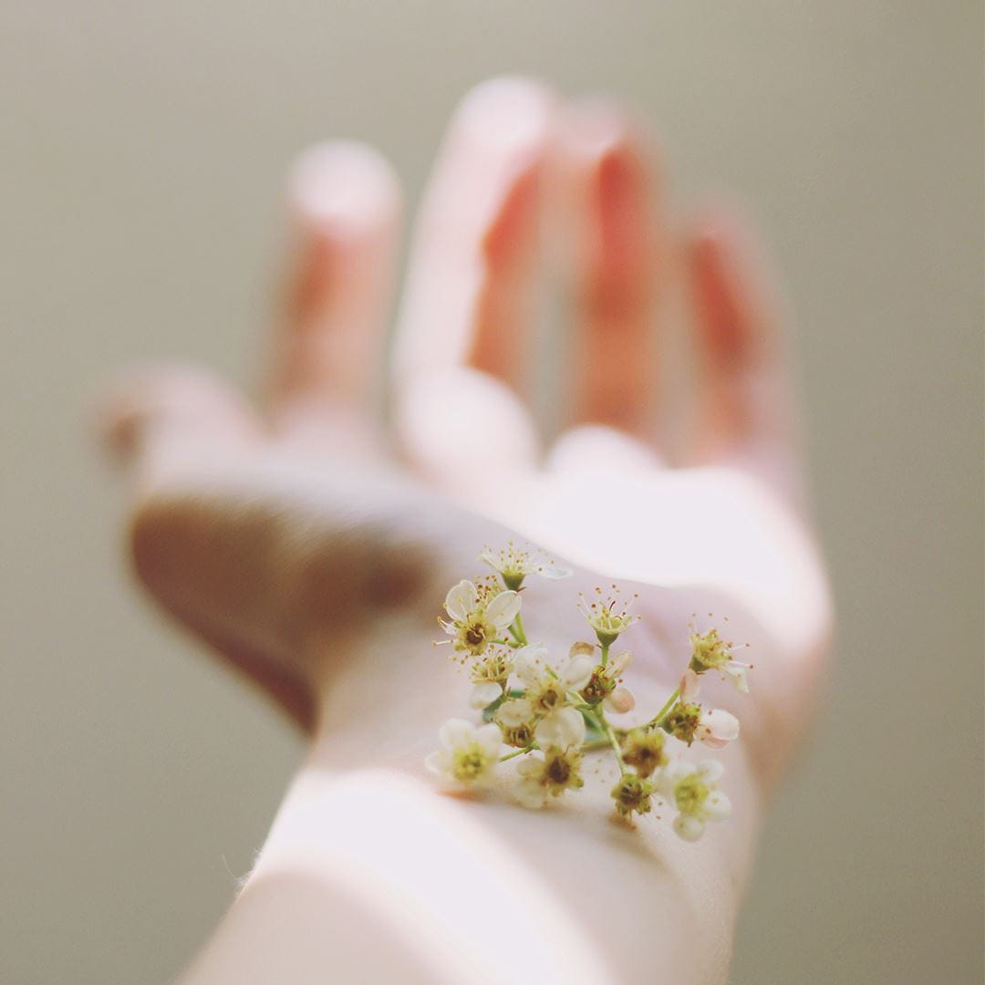 daisys on a wrist