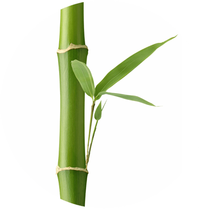 Leite de Bambu