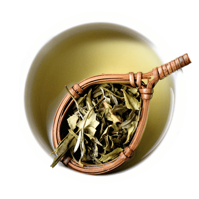 Zwarte thee-extract