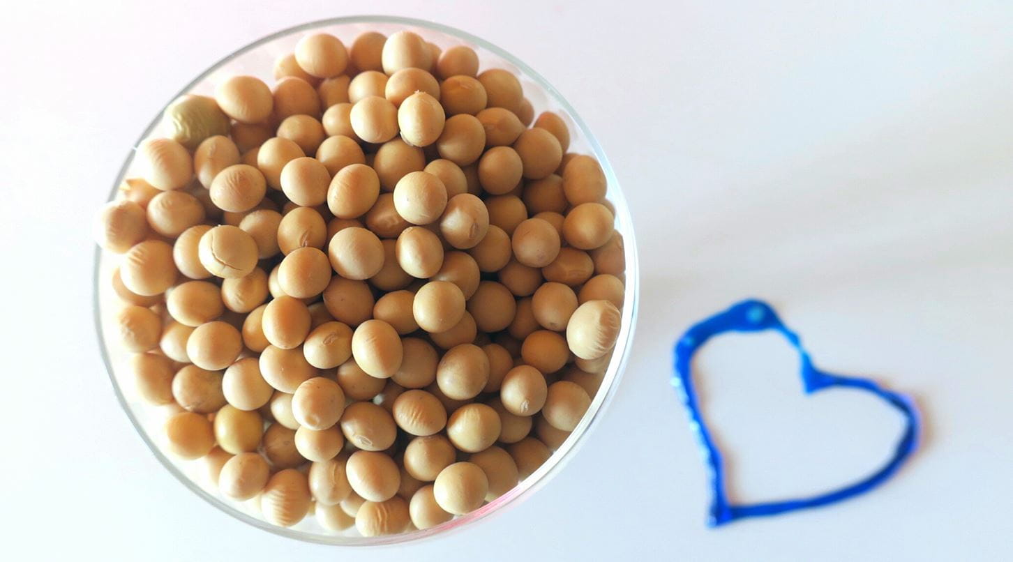 bowl of soy beans 