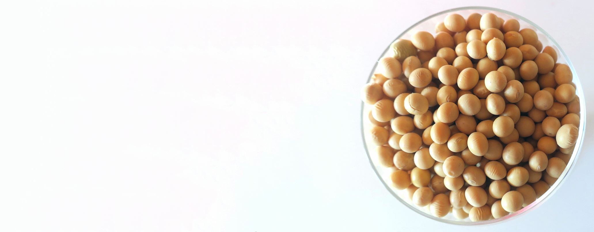 Soybean soy extract for skin