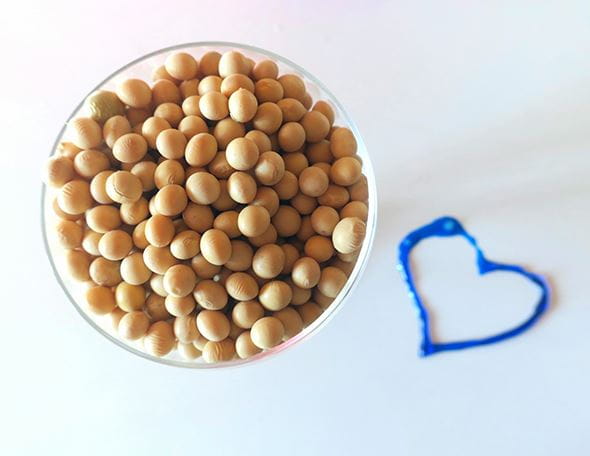 natural soy extract for skin