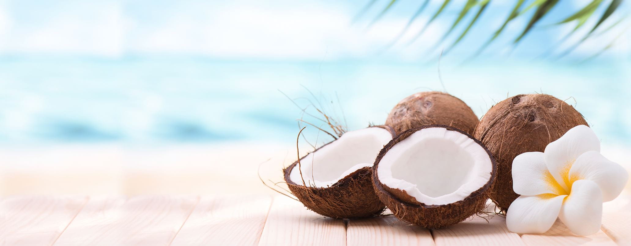 Logisch deze Matron Kokosolie voor je haar | NIVEA