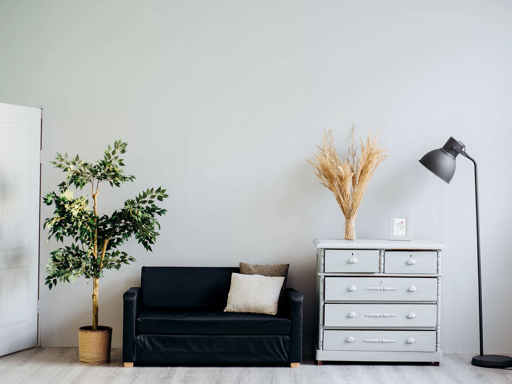 apartamento minimalista com sofá e planta