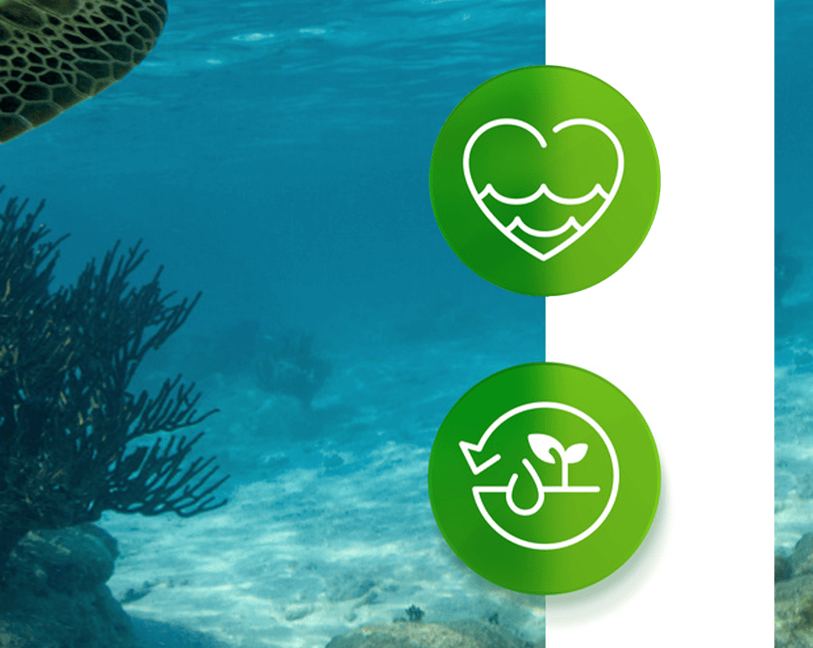 símbolos que hacen alusión a la protección de los océanos