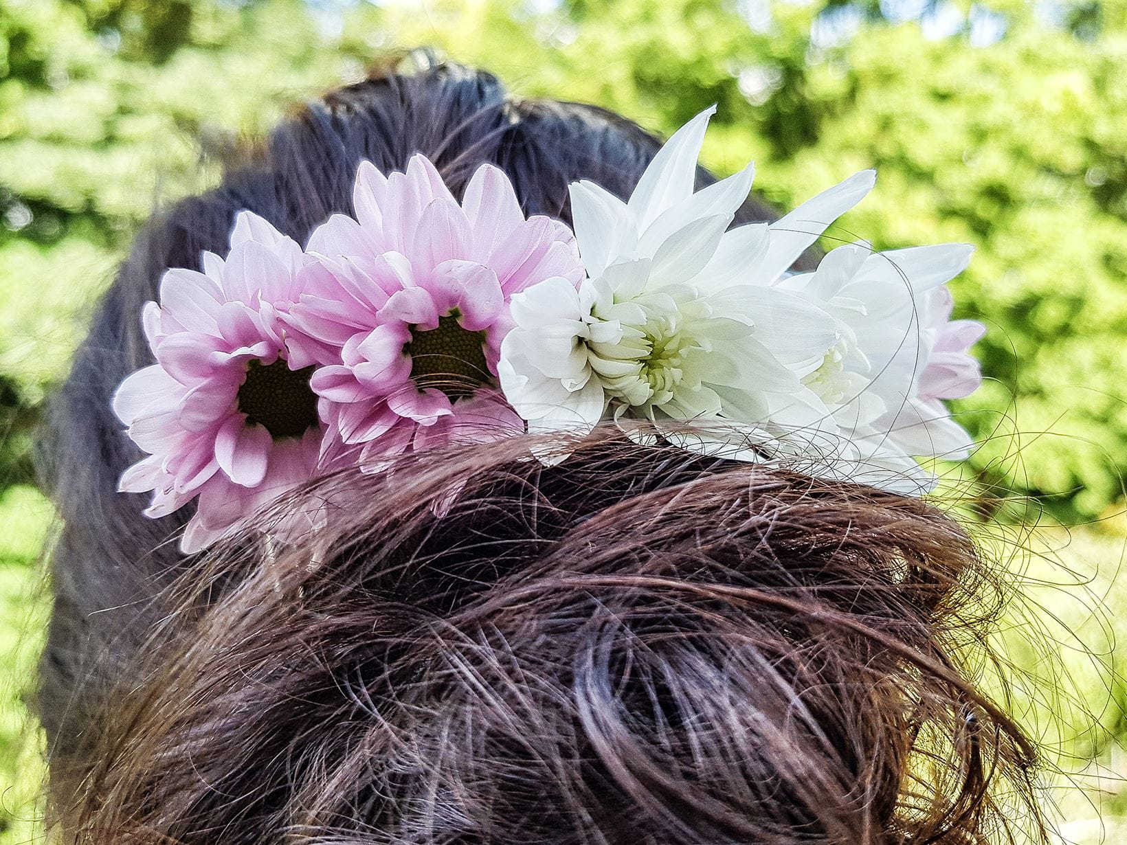 Sommer-Haar-Inspiration