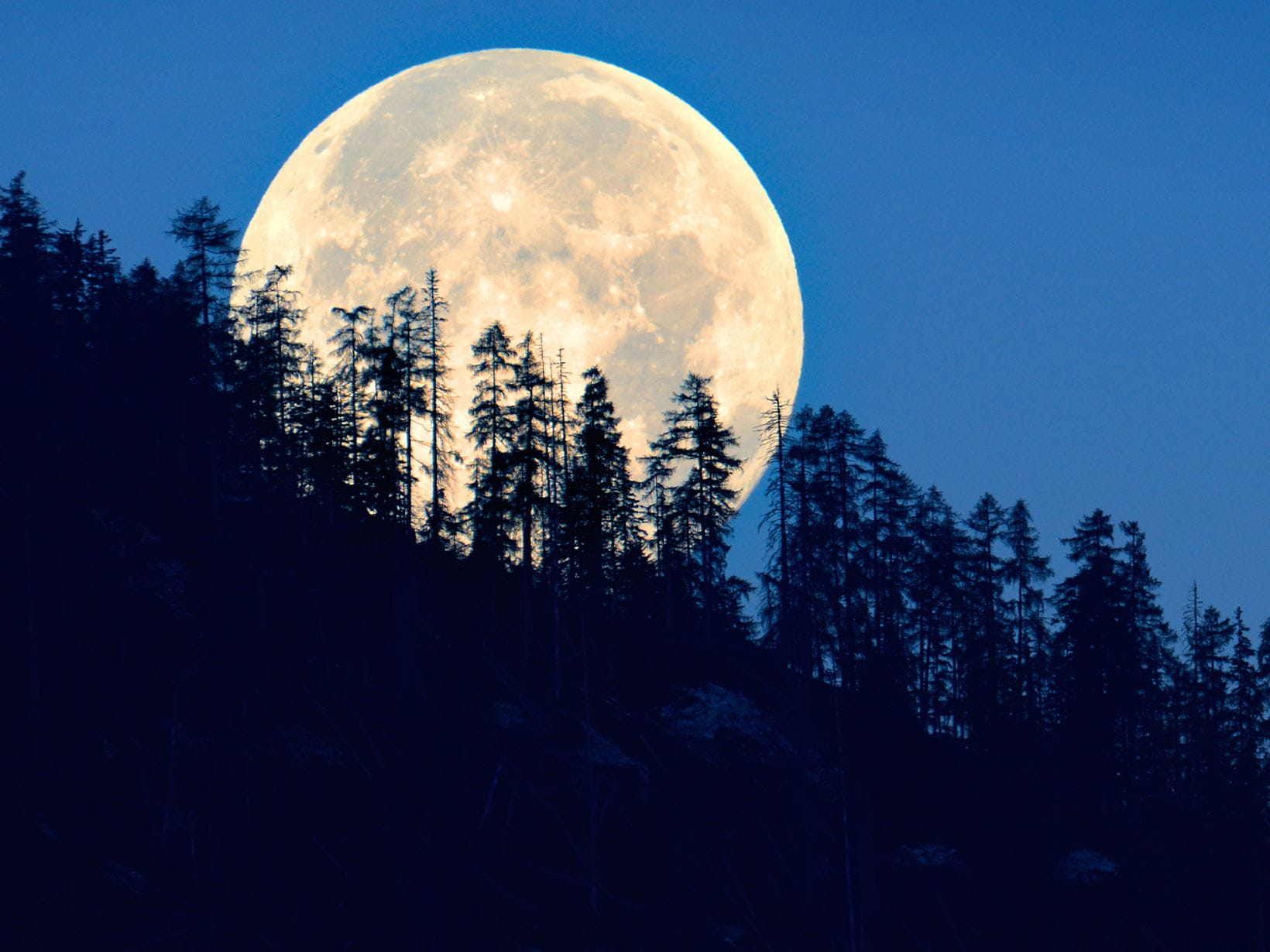 Mondkalender: Mythos oder Wahrheit?