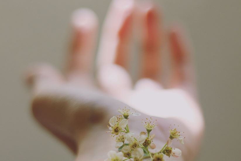 Vue en flou d’une main sur laquelle reposent des fleurs colorées à la hauteur du poignet.