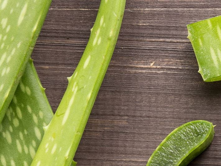 L‘Aloe vera comme remède maison
