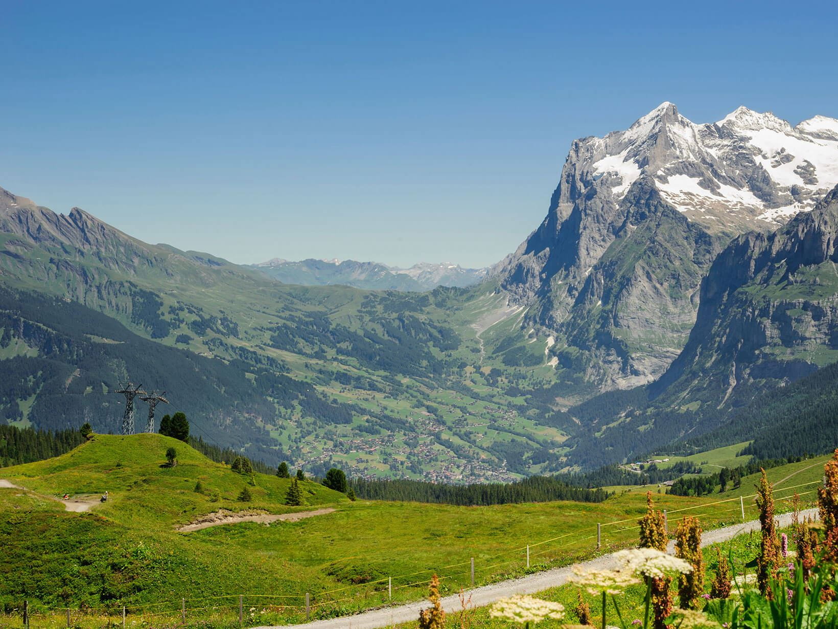 Admirez la beauté de la nature suisse