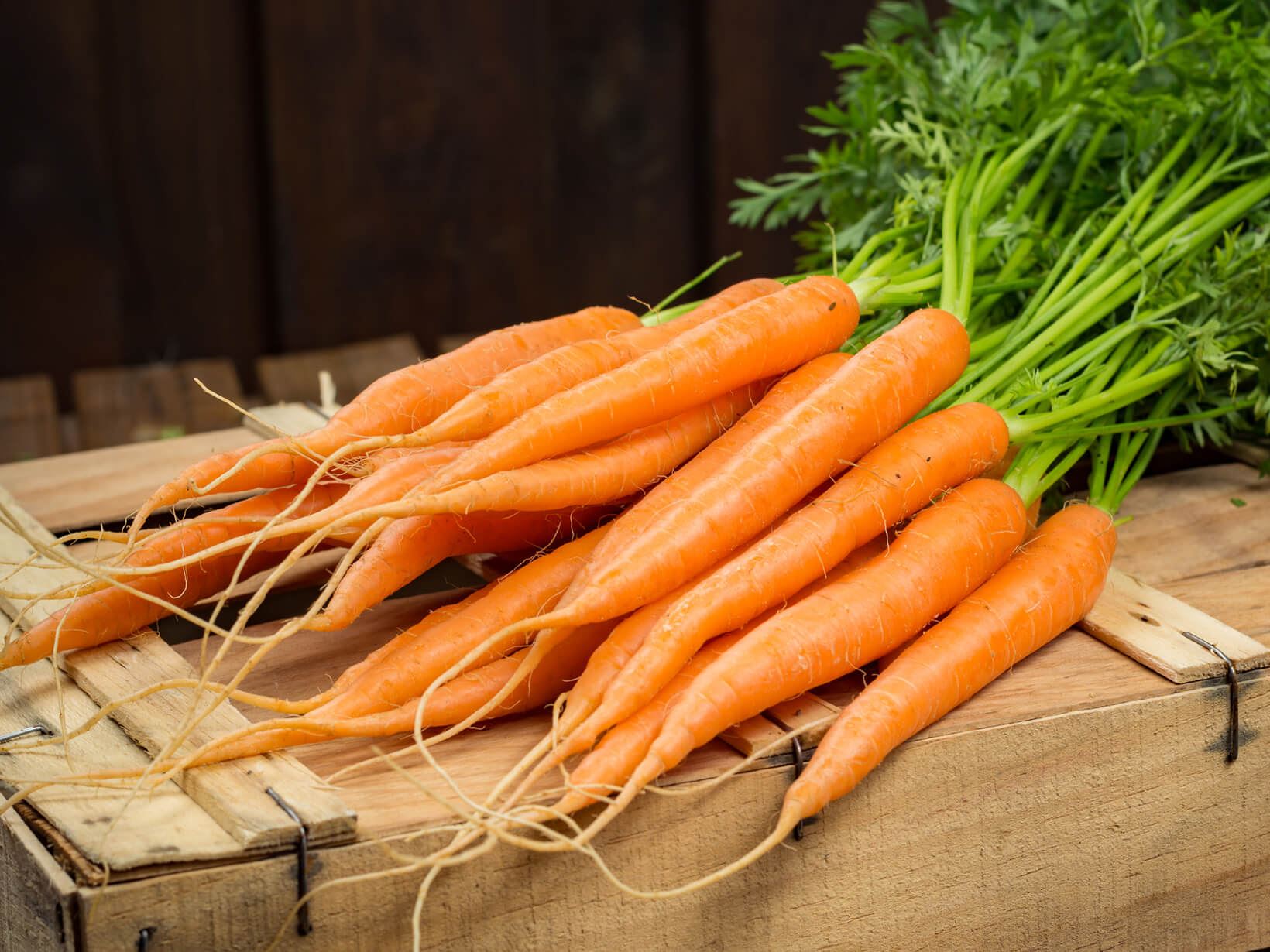 Optez pour les carottes