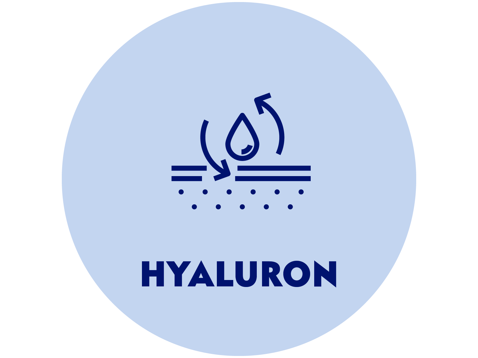 L’actif Hyaluron