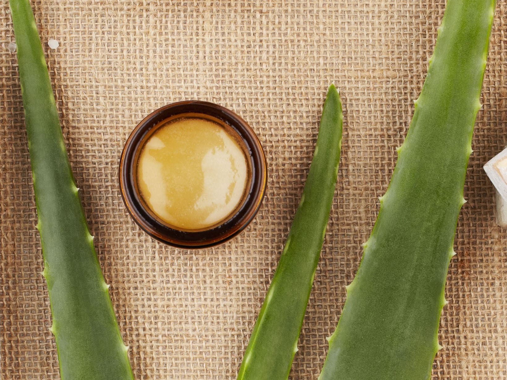 Gesichtsmaske selber machen mit Aloe vera und Honig