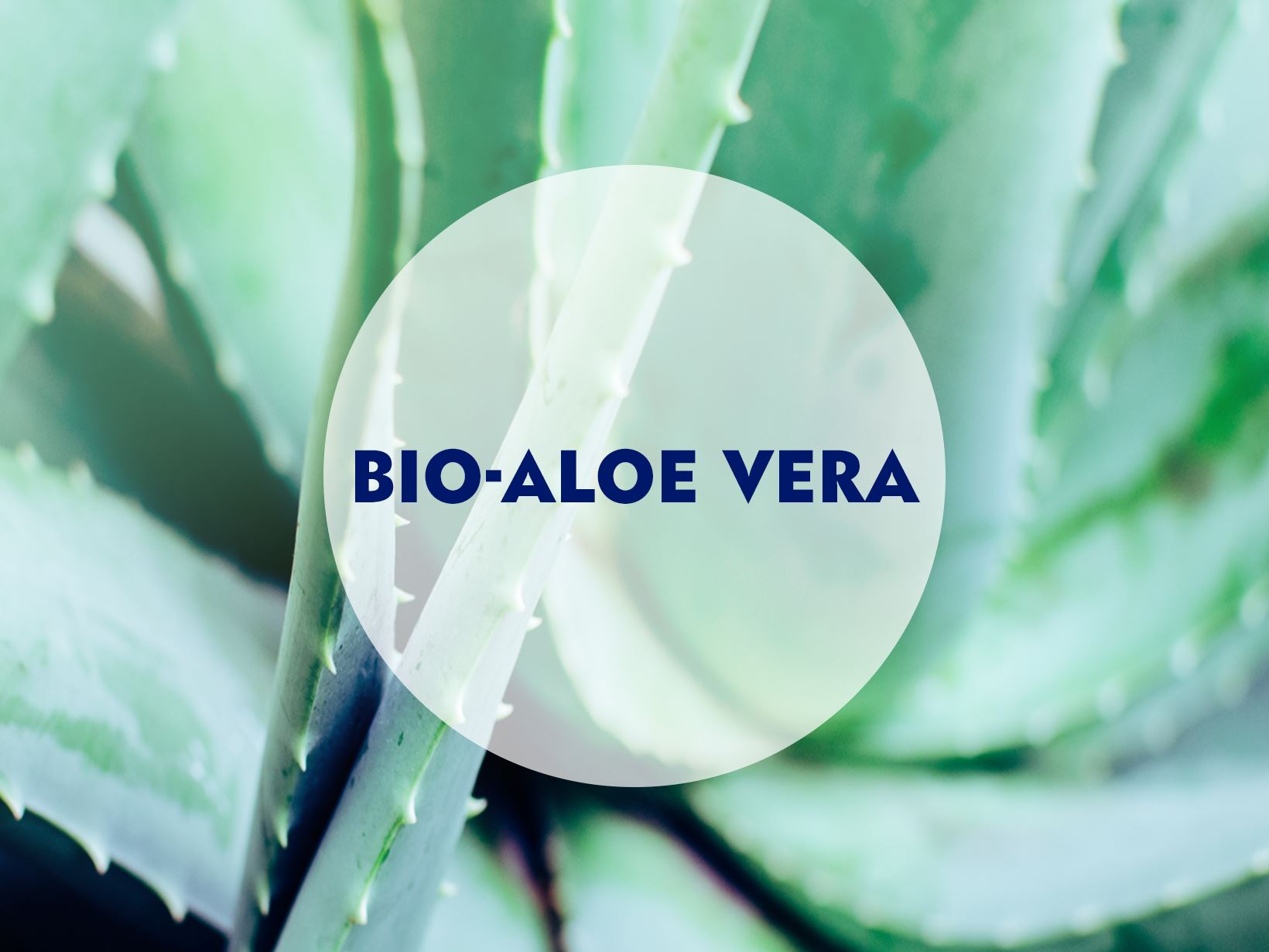 Bio-Aloe Vera