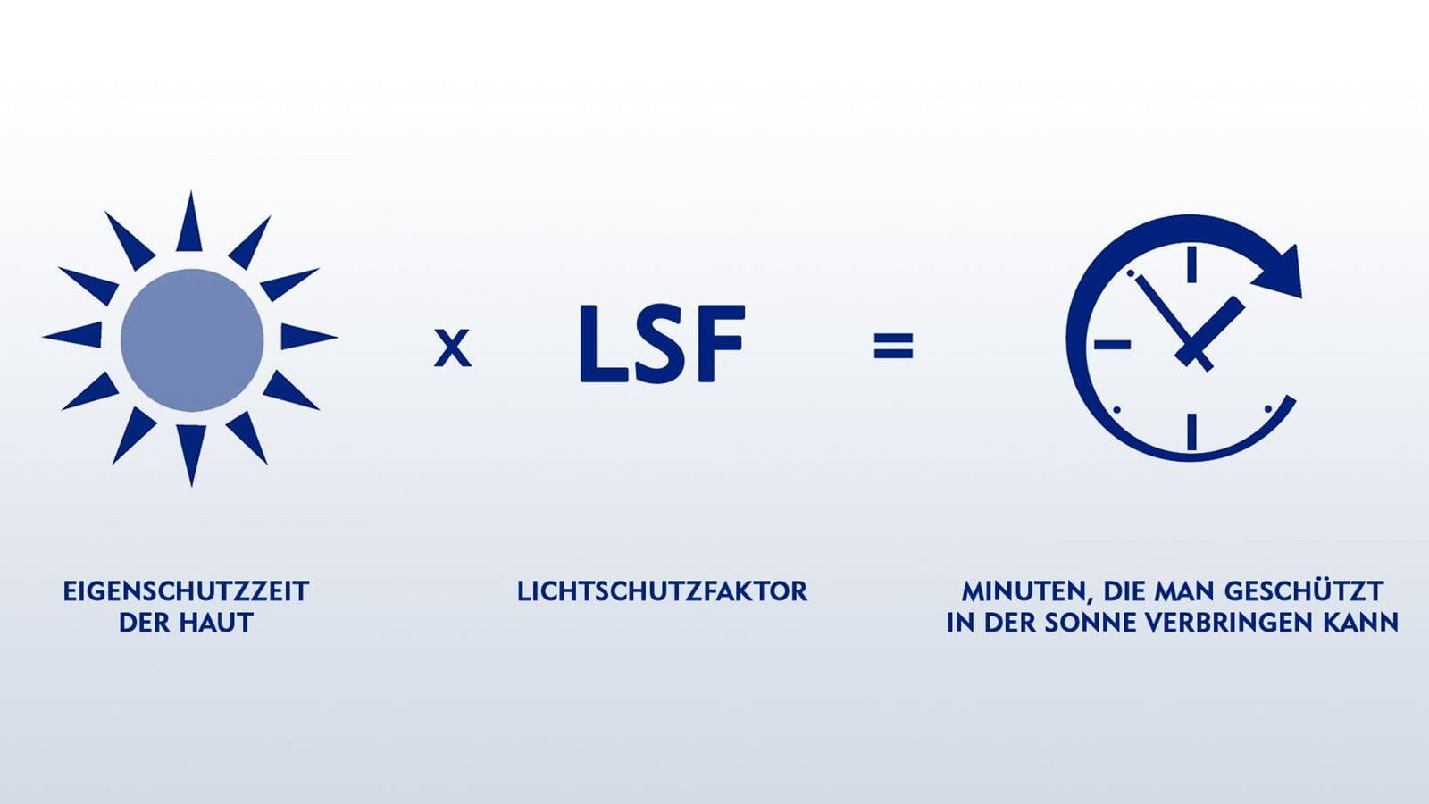 Was bedeutet LSF?
