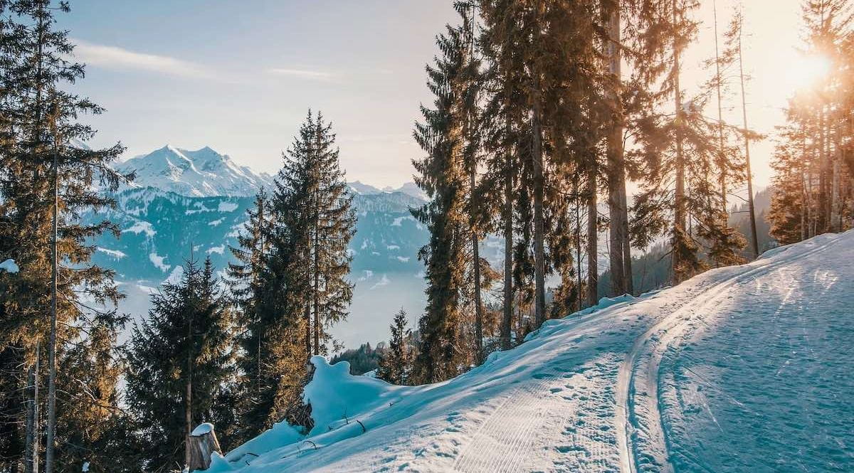 Lunette de soleil ski et snow, solaire femme et homme pour la neige