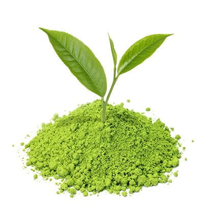 grüne Teeblätter