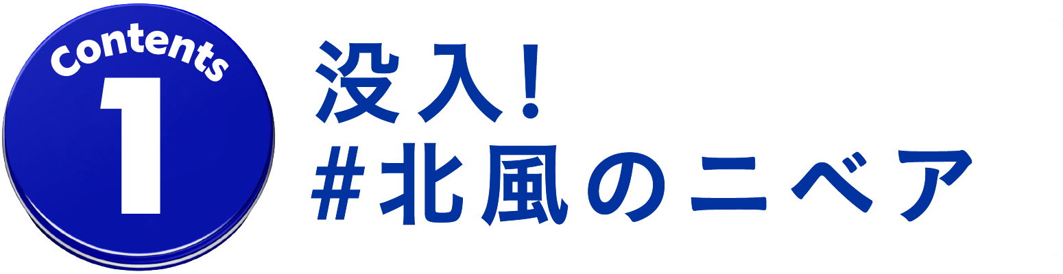 コンテンツ１ 没入！＃北風のニベア