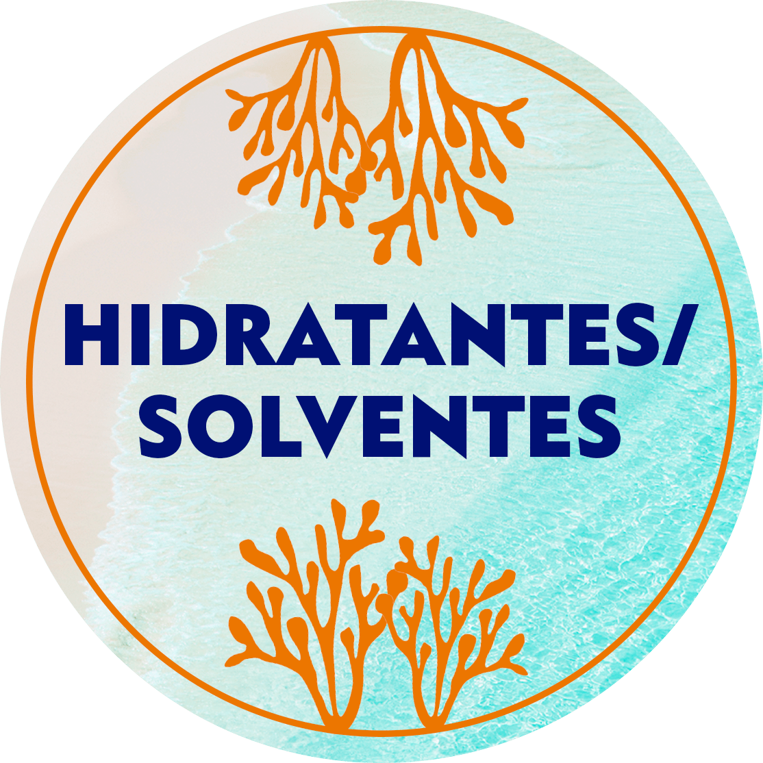 Hidratantes/Solventes