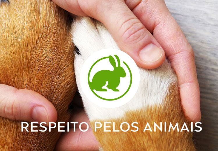 respeito pelos animais
