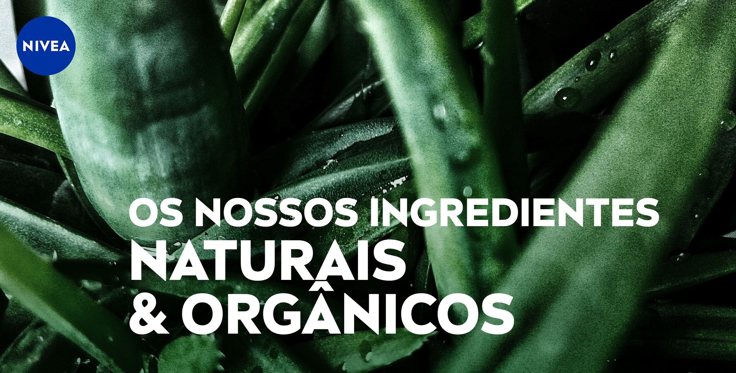 ingredientes naturais e orgânicos